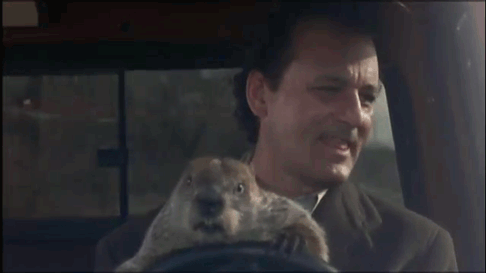 Don’t drive angry. Don’t drive angry!