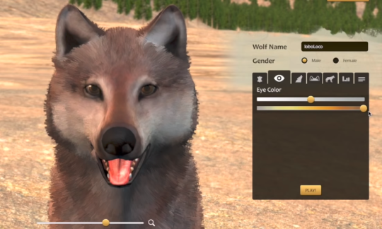 Wow, A lot of people Might recognize this game from the very early 2000s! Wolfquest started out as a free game that was meant to help educate people about wolves and help them understand. It later even got an online mode so you could play with others