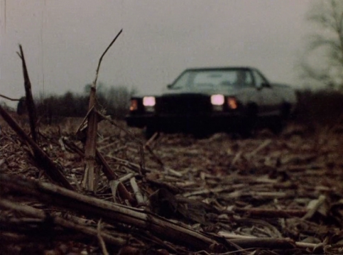 Roadkill: The Last Days of John Martin (Jim Van Bebber, 1994)