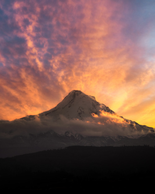 Mount Hood Eruptioninstagram.com/caseymac