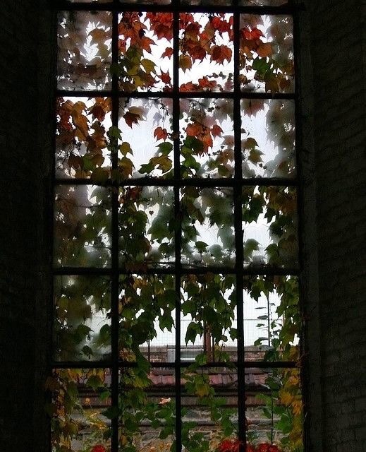 oldfarmhouse:  Autumn Gate | Corso Castelfidardo - Torino -ex officine ferr… |