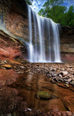 slither-and-scales:  Waterfall and the turtle.  Indian Falls at Grey County, Ontario. I found this snapping Turtle sitting calmly near the falls. Ii was an amazing experience. Crossed the river with slippery rocks in the river bed to get to the river