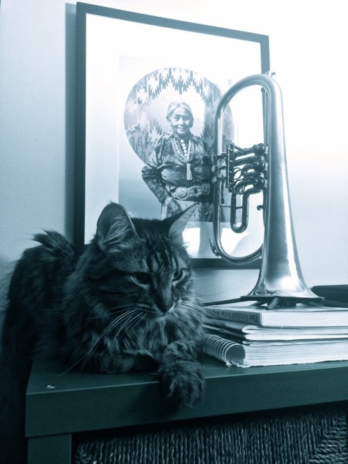 brassncats:Brokkr and flugelhorn.