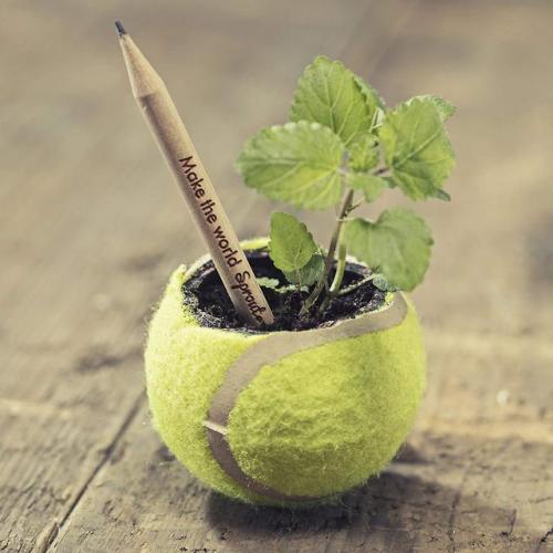 ofcoursethatsathing: Pencils that can be planted and grow into kitchen spices when they become to sm