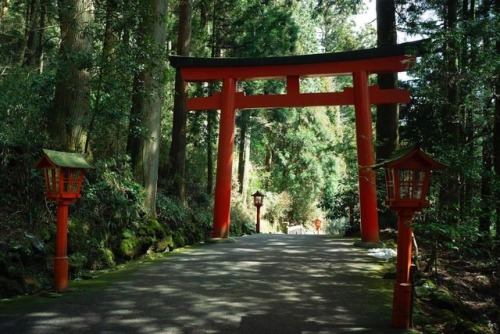 ⛩ . . . . #japan #travel (at Hakone Shrine) https://www.instagram.com/p/BvfYd__HnQp/?utm_source=ig_t