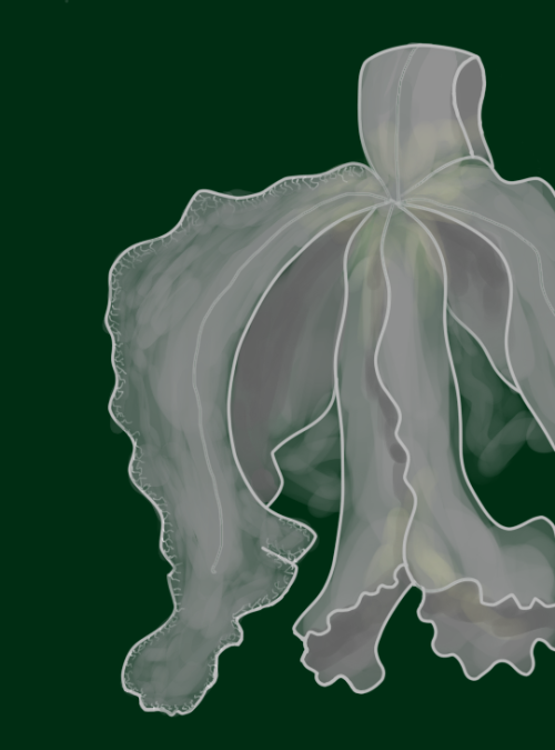 April Drawing Challenge Day 13: FlowerBased on a picture of a white orchid I took at a greenhouse. I