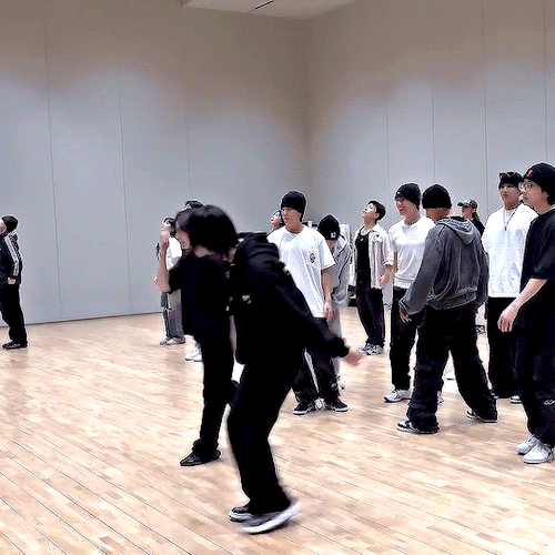 Woozi's Lion Hair