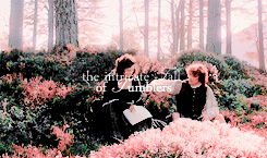 guiltypleasuresreviews:  floraizon: My marriage to Jamie had been for me like the