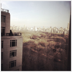 vauxn-blog:        harry styles; instagram       