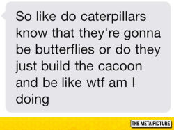 srsfunny:  I’ve Always Wondered This About Caterpillarshttp://srsfunny.tumblr.com/ 