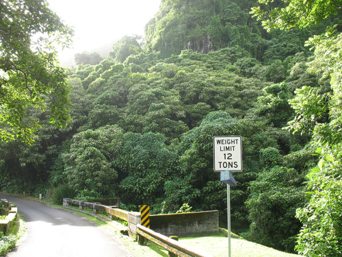 1000containers:  MAUU1811151, Hana Hwy, Maui, HI
