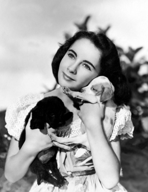 Elizabeth Taylor, National Velvet, ca. 1944.