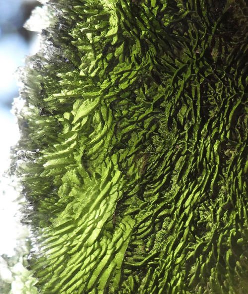 Moldavite - Besednice, Czech Republic