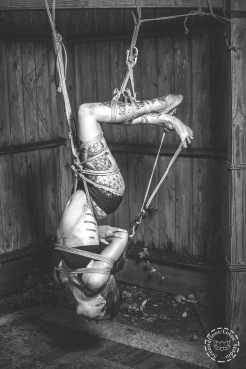 Model: tiedandtwisted420 | Rigging: Secondfloor | Photos: @gaping-lotus | rope made by m0cojuteView 