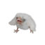 meovvsy