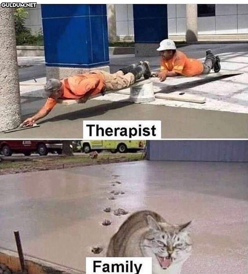 Therapist Family