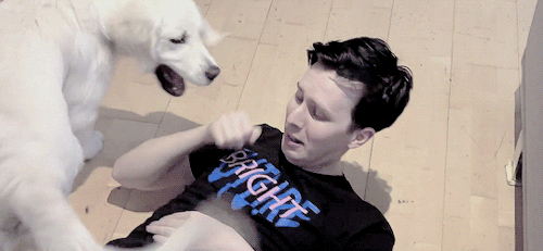 thjslove:giving the people what they want