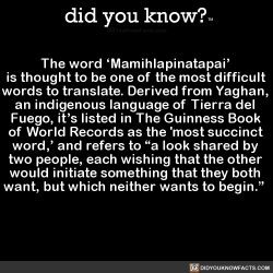 did-you-know:  The word ‘Mamihlapinatapai’  is thought to be one of the most difficult  words to translate. Derived from Yaghan,  an indigenous language of Tierra del  Fuego, it’s listed in The Guinness Book  of World Records as the ‘most succinct