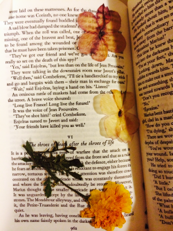 liminalpoetry:  i put flowers in books when