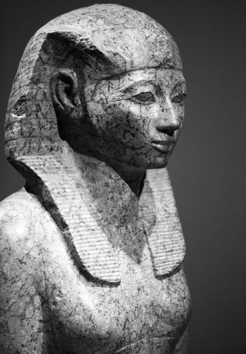 mortisia:  Hatshepsut (also Hatchepsut; meaning Foremost of Noble Ladies; 1508–1458 BC) was the fifth pharaoh of the Eighteenth dynasty of Ancient Egypt. She is generally regarded by Egyptologists as one of the most successful pharaohs, reigning longer