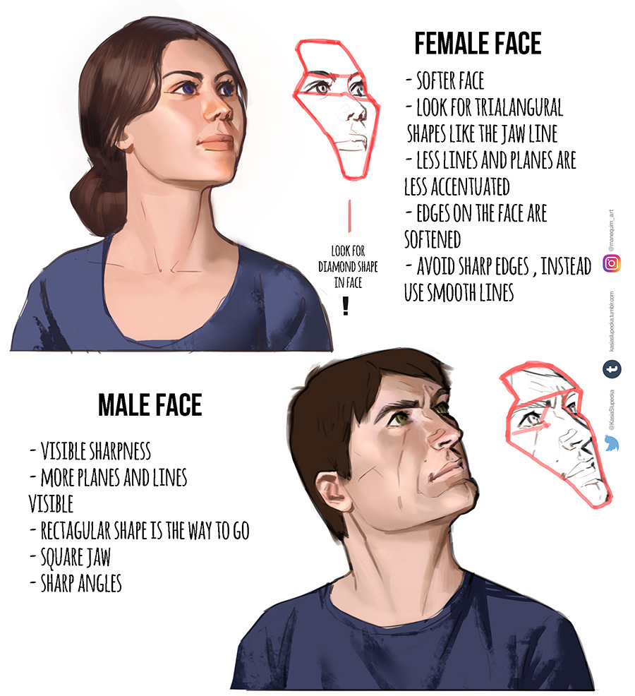 kasiaslupecka: Some notes on drawing head.  I have very analytical approach to drawing