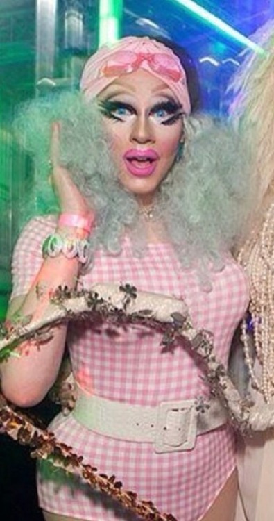 katyazigowalawala:Here’s my collection of vintage trixie with multi coloured hair