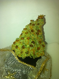 hunterrl6:  DAB TREE Happy Holidays, and