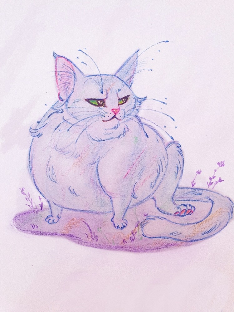 Kitty Art Tumblr