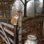 p0intlessautumn