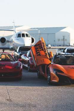 captvinvanity:  Collection of beasts | Photographer