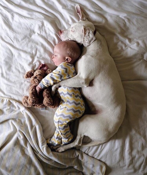 risuperman1967: ♥ I&rsquo;ve been baby crazy since high school&hellip;.. I can&rs