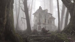 blameitonsocietyx:  Abandoned house in the