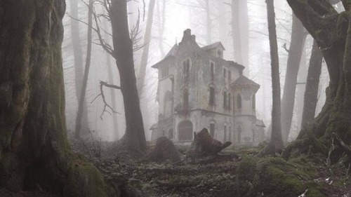 blameitonsocietyx:  Abandoned house in the woods. 