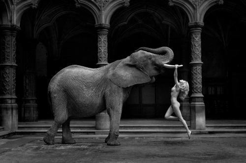 angelomisterioso:  Marc Lagrange, ‘Senza Parole’ 