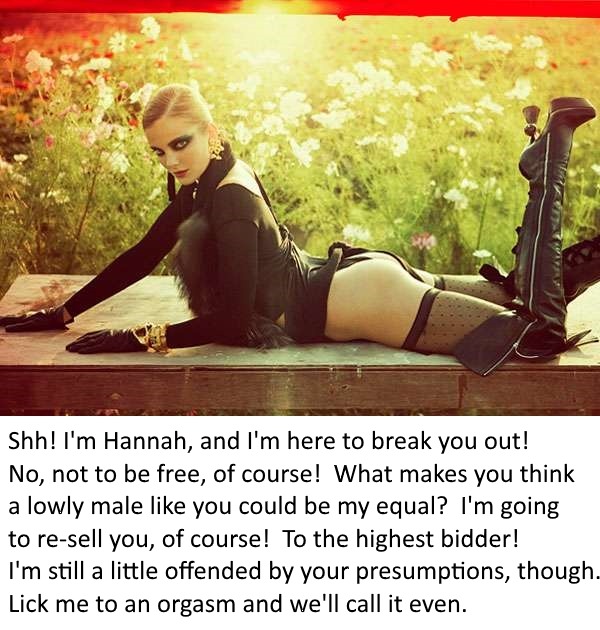 Sissy Trained Analslut
