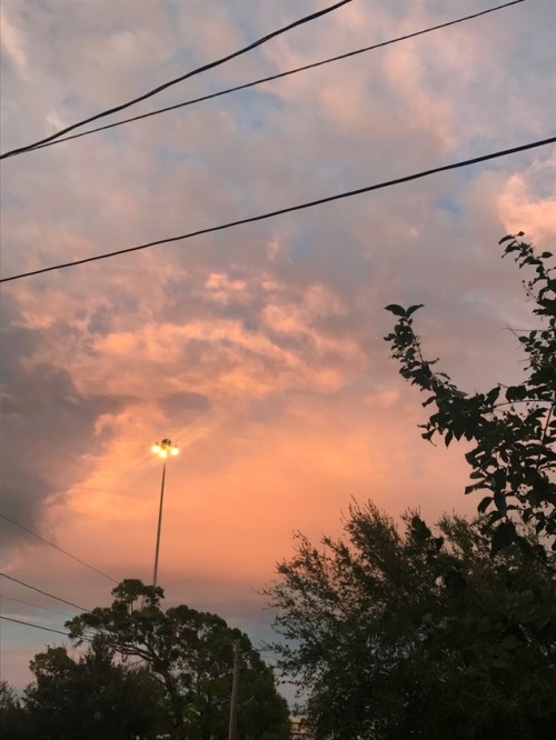 zkac:  walks home