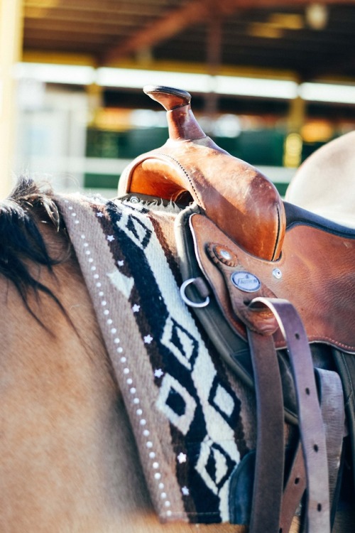 countryff4171: Rodeo days