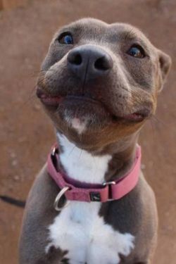 awwww-cute:  Happy smiles! (400x600) 