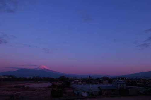 1.7 satMorning ride.凍えるような朝。この冬一番の冷え込みでは。美しい富士山と朝日に出会えた。