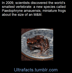 ultrafacts:  Source Follow Ultrafacts for more facts 