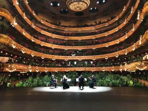 itscolossal: 2,292 Plants Fill the Audience in Opening Performance at Barcelona’s Gran Teatre 