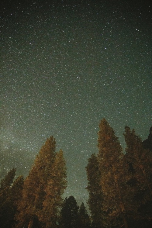 claytax:These Northern Lights
