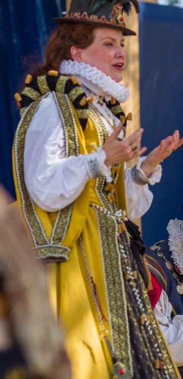 Elizabethan Yellow Gown (Southern Ren Faire, 2018) 