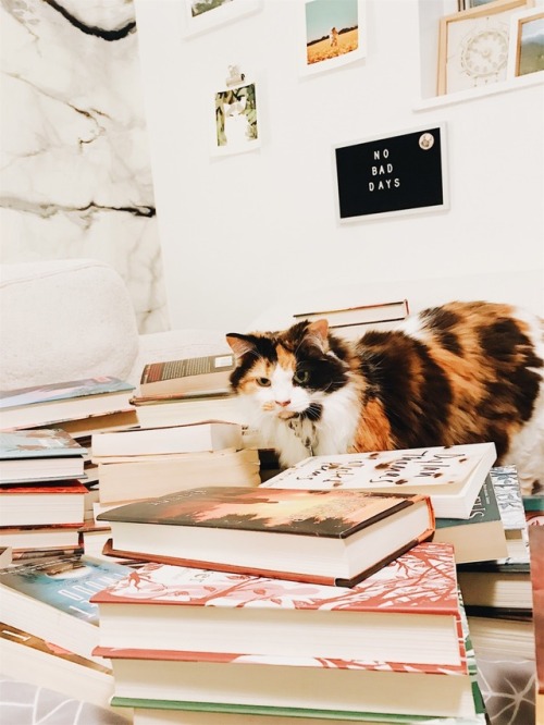 epeolatrist:She’s helping me sort the books