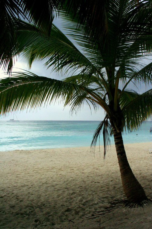 tropicaldestinations: Saona Island (by LookINCEll) - www.tropicaldestinations.info/