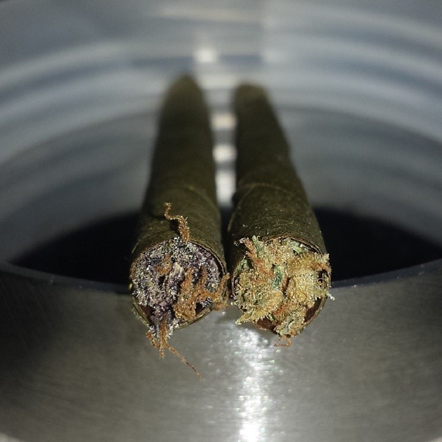 weedporndaily:  GrandaddyPurp &amp; Sourcheese Pearls #calyxporn. by siraynot