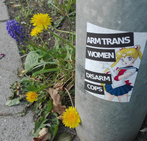 gorps:buckythirteen: radicalgraff: ‘Arm Trans Women, Disarm Cops’You can buy copies of the sticker h