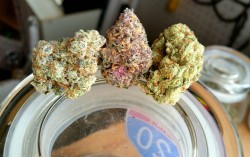 cloudyheadedstoner:  Glookies | Grape Gods