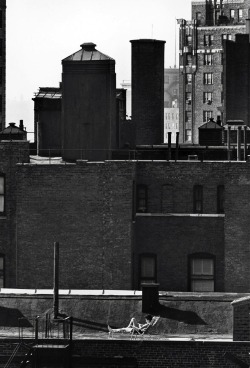 Luzfosca:  André Kertész Untitled [Woman Sunbathing On Roof Reading], 1964 From On