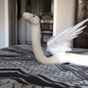 the-reckless-ronin:sunshinestims:🐍🐍🐍🐍A fearsome beast, to be sure!